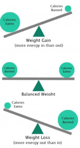 calorie counting easier