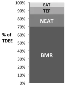 Metabolism For Weight Loss At A Desk Job