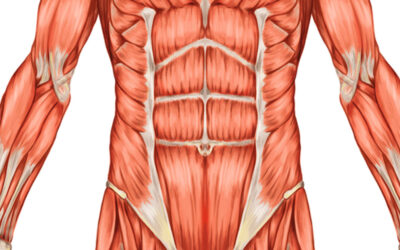 How To Brace Your Core For Lifting