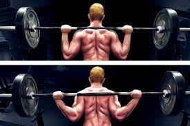 difference of where the bar is placed on the shoulders for the high bar and low bar back squat, respectively.