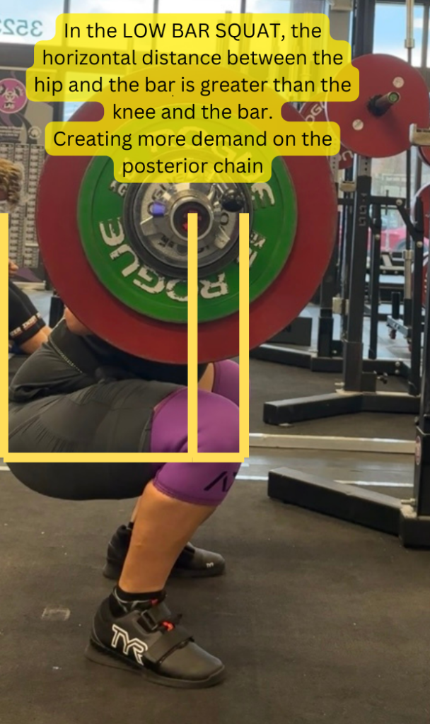Low Bar Back Squat illustrating the moment arm being longer between the hip and the bar, placing more demand on the posterior chain