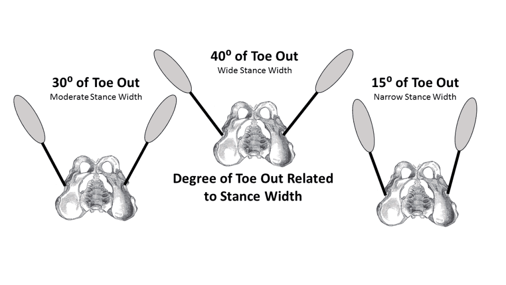 toe angle based on hip width in the barbell squat